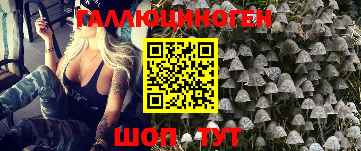 Псилоцибиновые грибы Cubensis Липецк